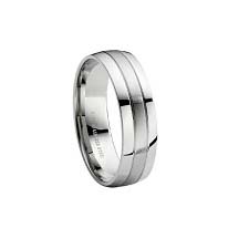 SSR0100-Polished Finished Stainless Steel Rings