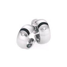 TIE0014-Popular Titanium Earrings